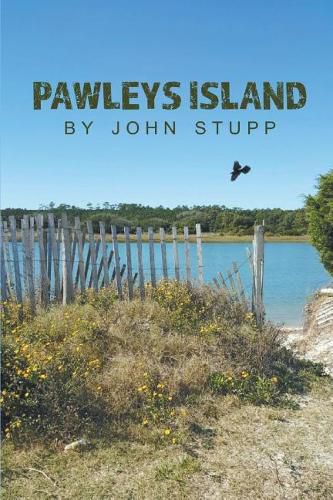 Cover image for Pawleys Island