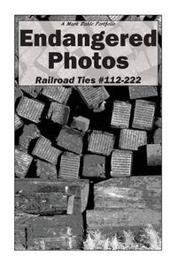 Cover image for Endangered Photos: Railroad Ties #112-222