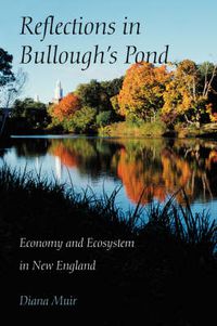 Cover image for Reflections in Bullough's Pond