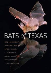 Cover image for Bats of Texas