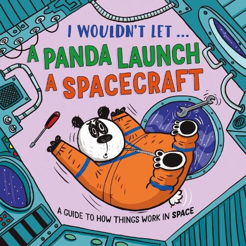 Cover image for I Wouldn't Let a Panda Launch a Spacecraft