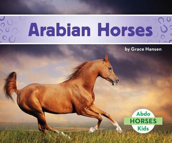Cover image for Arabian Horses