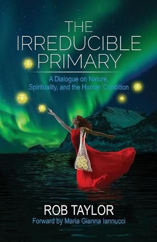 Cover image for The Irreducible Primary: Nature, Spirituality, and the Human Condition