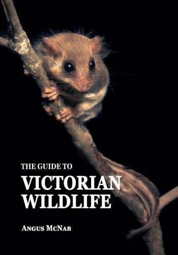 Cover image for The Guide to Victorian Wildlife