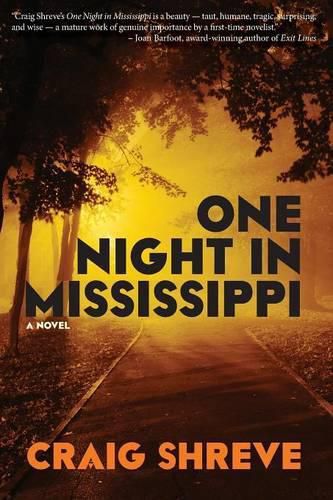 Cover image for One Night in Mississippi