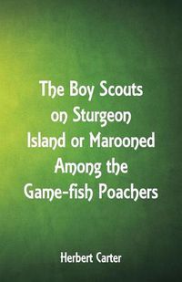 Cover image for The Boy Scouts on Sturgeon Island: Marooned Among the Game-fish Poachers