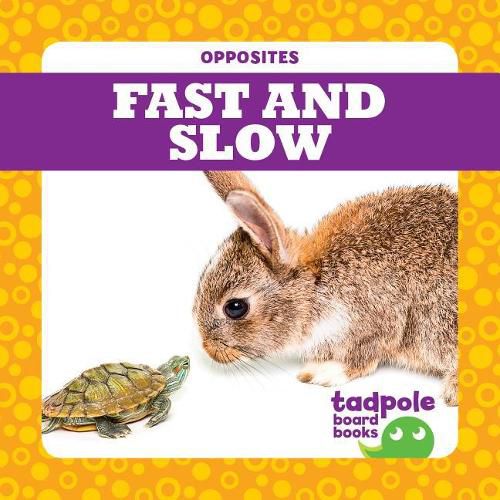 Cover image for Fast and Slow