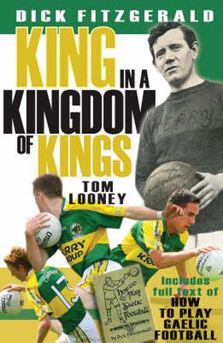 Cover image for A King in the Kingdom of Kings