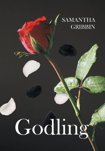 Cover image for Godling