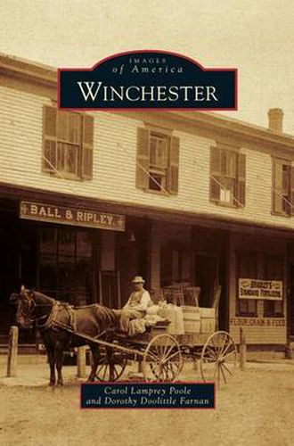 Cover image for Winchester