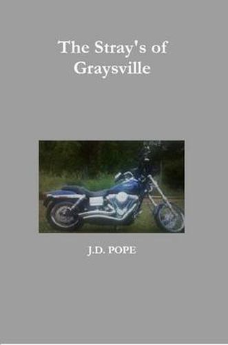 Cover image for The Stray's of Graysville