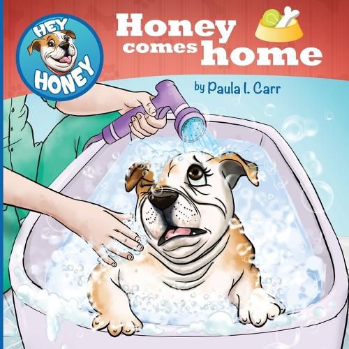 Cover image for Hey Honey