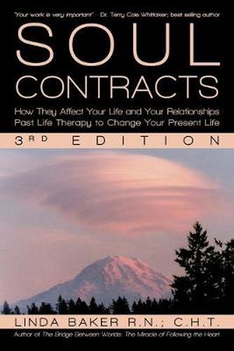 Cover image for Soul Contracts