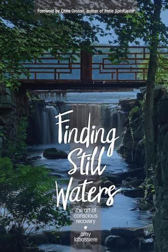 Cover image for Finding Still Waters: The Art of Conscious Recovery