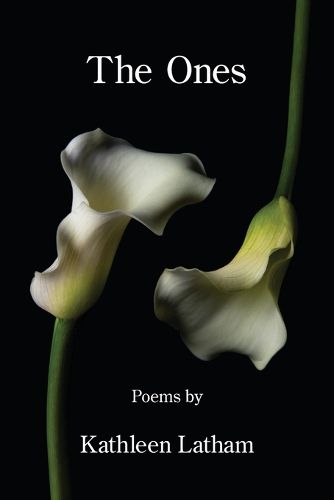 Cover image for The Ones