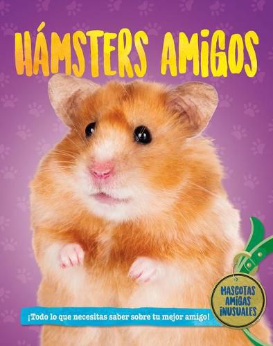 Cover image for Hamsteres Amigos