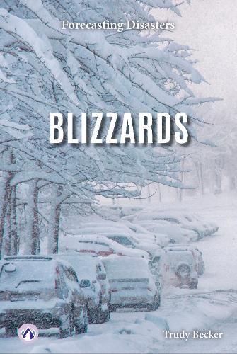 Cover image for Blizzards