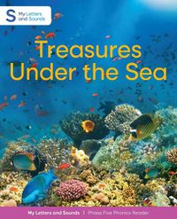 Cover image for Treasures Under the Sea