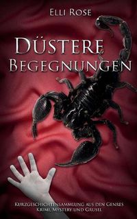 Cover image for Dustere Begegnungen: Kurzgeschichtensammlung aus den Genres Krimi, Mysterie umd Grusel