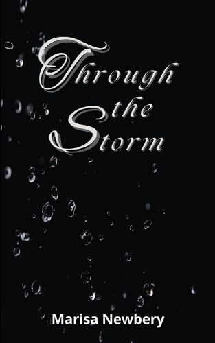 Cover image for Through the Storm