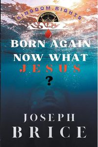 Cover image for Born Again Now What Jesus