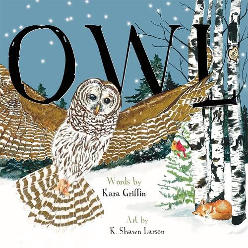 Cover image for Owl (Pb)