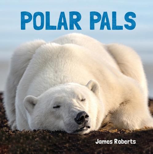 Cover image for Polar Pals