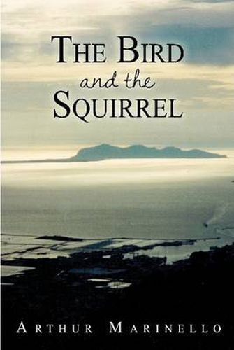Cover image for The Bird and the Squirrel