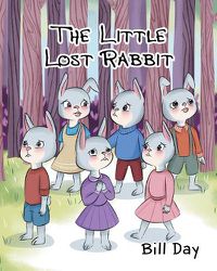 Cover image for The Little Lost Rabbit