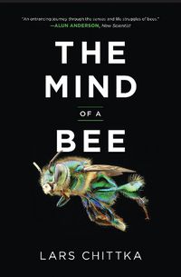 Cover image for The Mind of a Bee