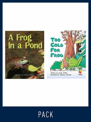 Cover image for Flying Start Guided Reading Pack Level 11, Pack 2: Paired student books (6x6) and lesson plan (1)