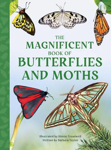 Cover image for The Magnificent Book of Butterflies & Moths
