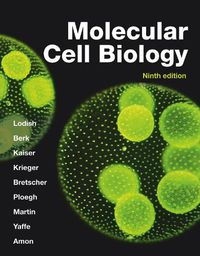 Cover image for Molecular Cell Biology