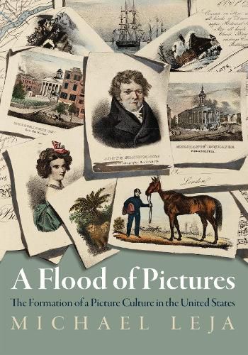 Cover image for A Flood of Pictures