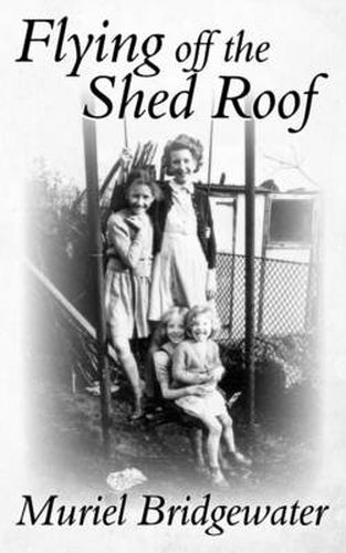 Cover image for Flying off the Shed Roof