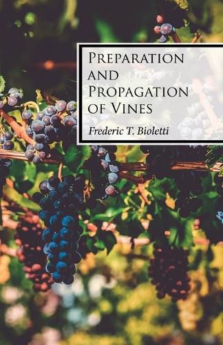 Cover image for Preparation and Propagation of Vines