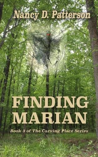 Cover image for Finding Marian