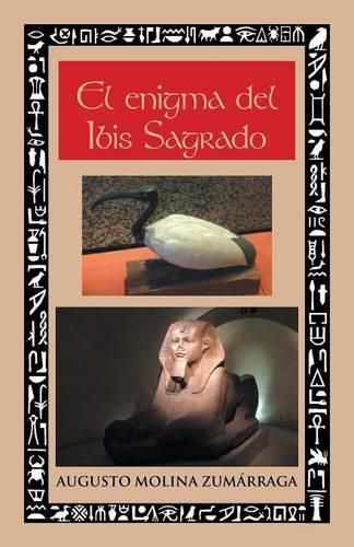 Cover image for El enigma del ibis sagrado