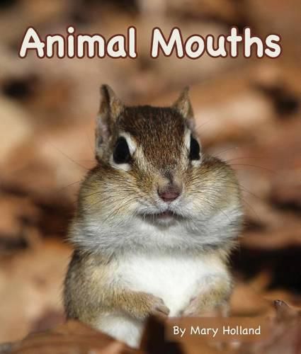 Cover image for Animal Mouths