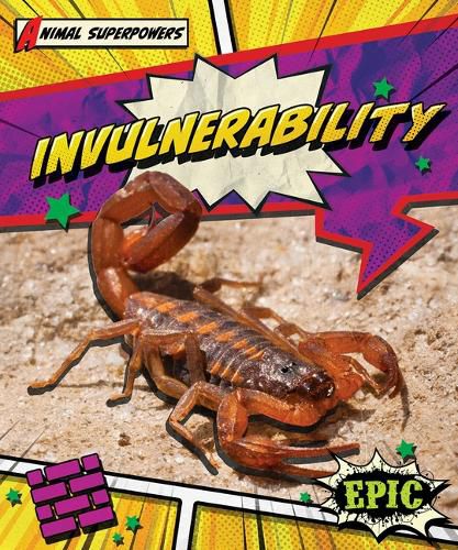 Cover image for Invulnerability