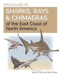 Cover image for Field Guide to Sharks, Rays and Chimaeras of the East Coast of North America