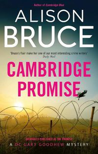 Cover image for The Promise