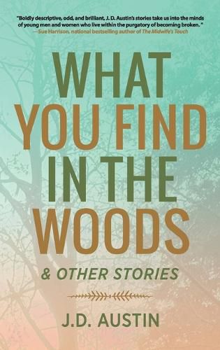Cover image for What You Find in the Woods