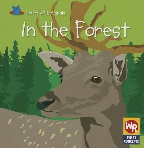 Cover image for In the Forest