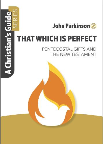 Cover image for That Which is Perfect