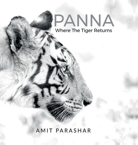Cover image for Panna