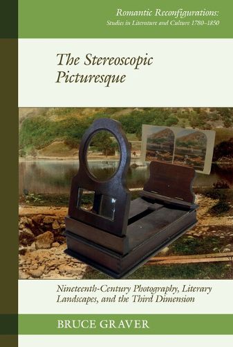 Cover image for The Stereoscopic Picturesque