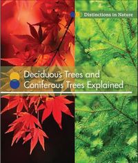 Cover image for Deciduous Trees and Coniferous Trees Explained