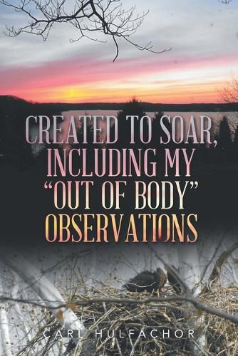 Cover image for Created to Soar, Including My "Out of Body" Observations