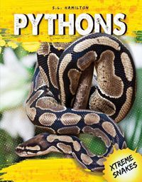 Cover image for Pythons